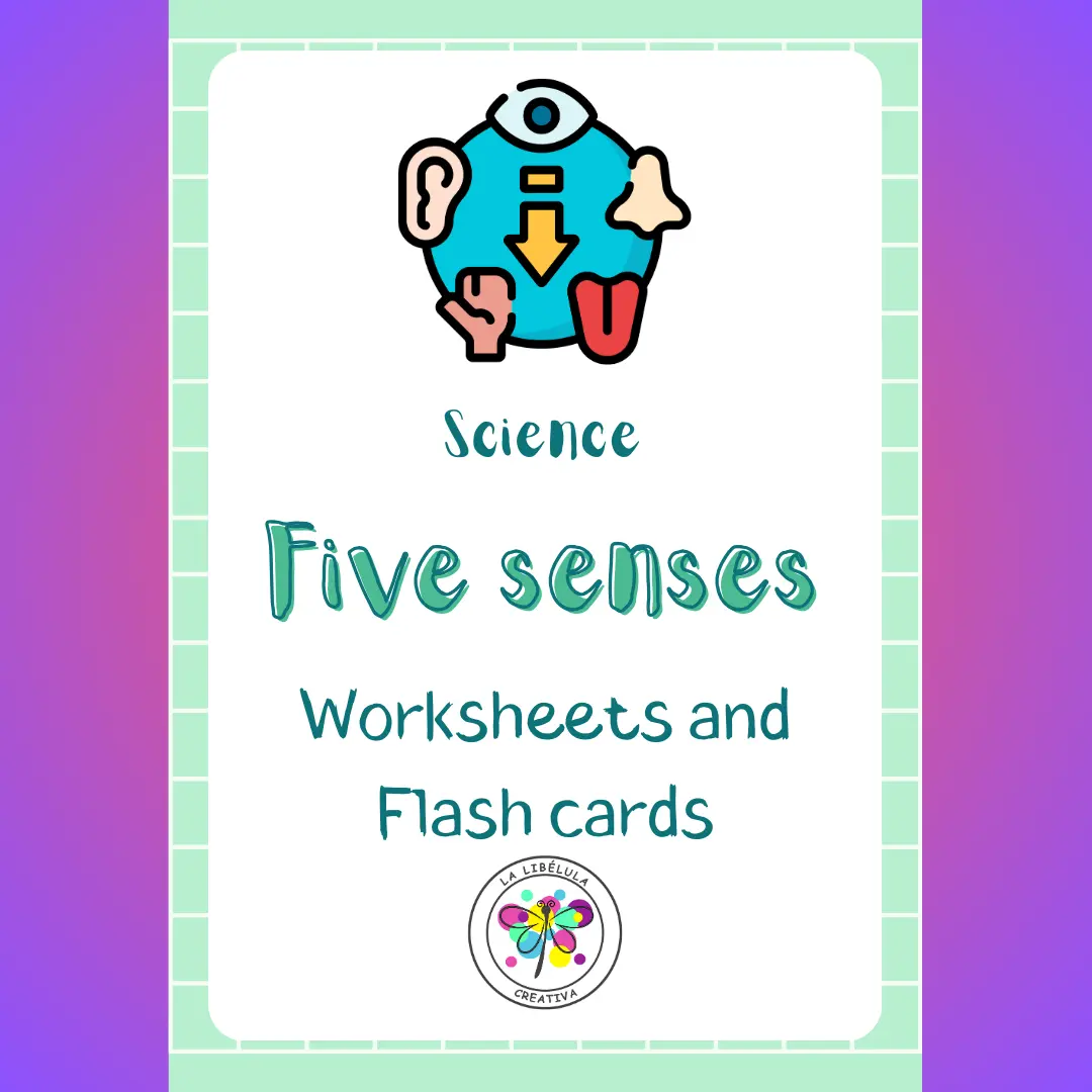 Science Five Senses Worksheets Flash Cards Human Body NO PREP Color