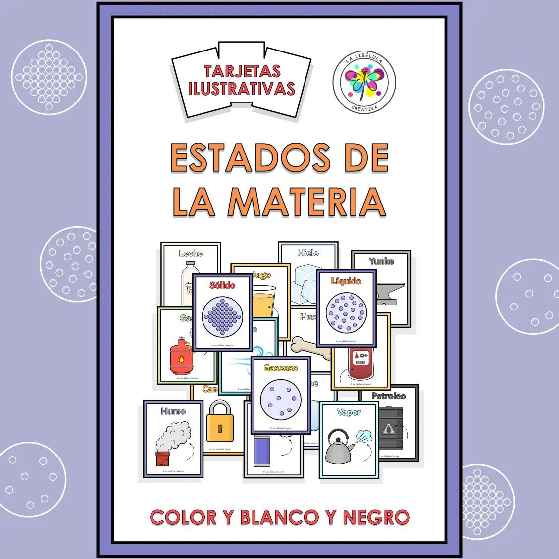 Spanish State of Matter Flash Cards Science Estados Materia Tarjetas Ciencias